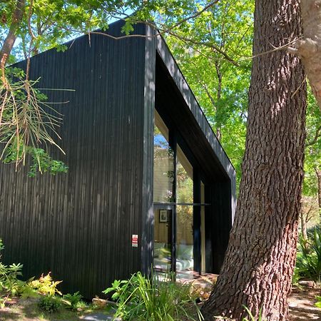 Nouveau - Ecolodge 'Calme Et Nature' - Avec Piscine Au Golf-Lac De Biscarrosse - Couchage 2 Personnes Eksteriør billede